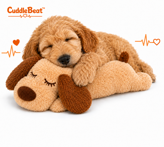 CuddleBeat™ – A Heartbeat They Can Cuddle